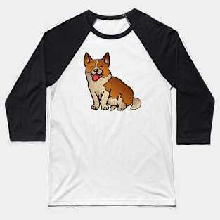 Funny Corgi Baseball T-Shirt